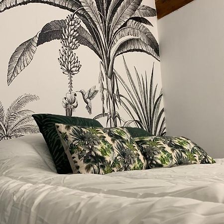 Appartement Cosy Centre Historique Авиньон Экстерьер фото